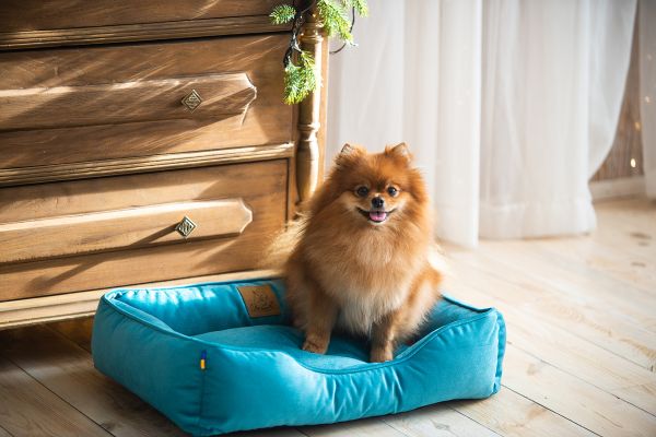 Лежак для котів та собак блакитний