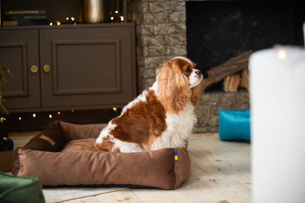 Лежак для котів та собак коричневий