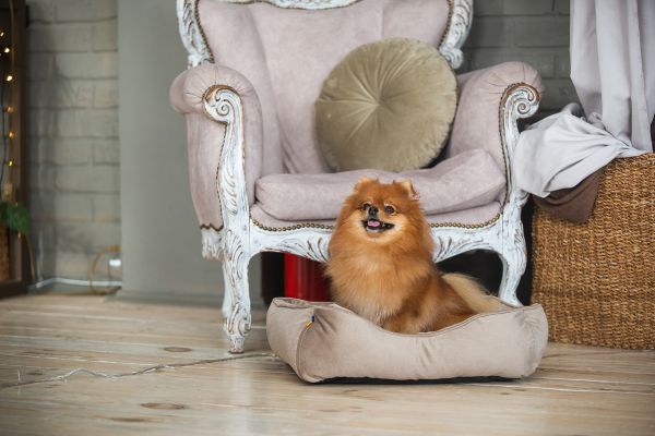 Лежак для котів та собак бежевий