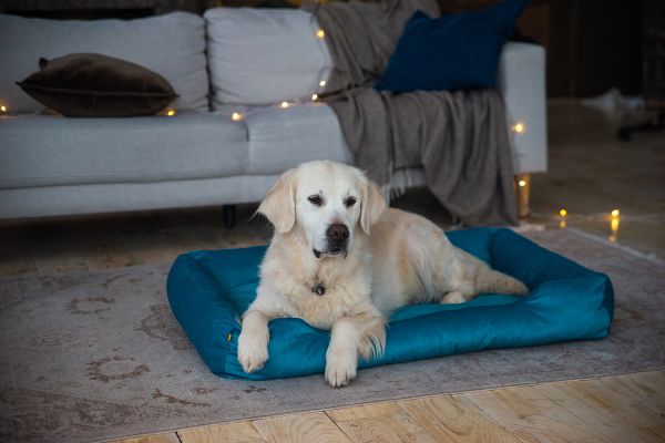 Лежак для котів та собак блакитний