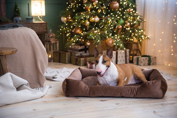 Лежак для котів та собак коричневий
