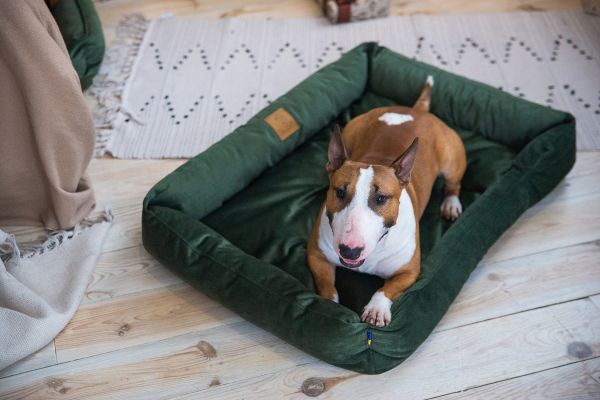 Лежак для котів та собак оливковий