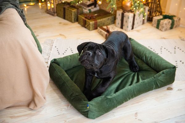 Лежак для котів та собак оливковий