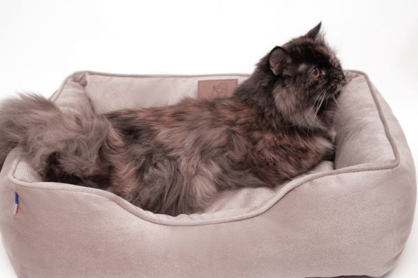 Лежак для котів та собак бежевий