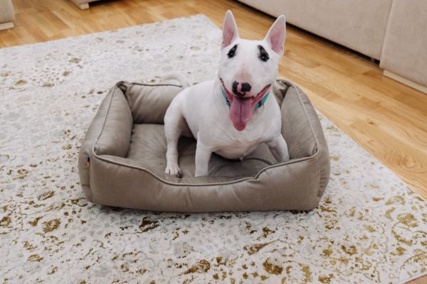 Лежак для котів та собак бежевий