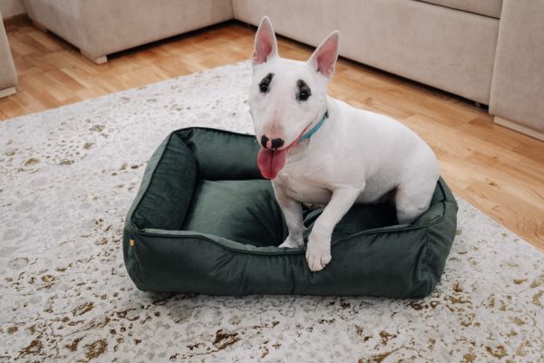 Лежак для котів та собак оливковий