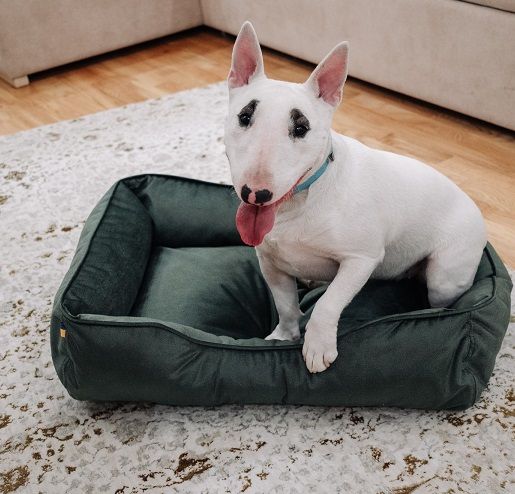 Лежак для котів та собак оливковий