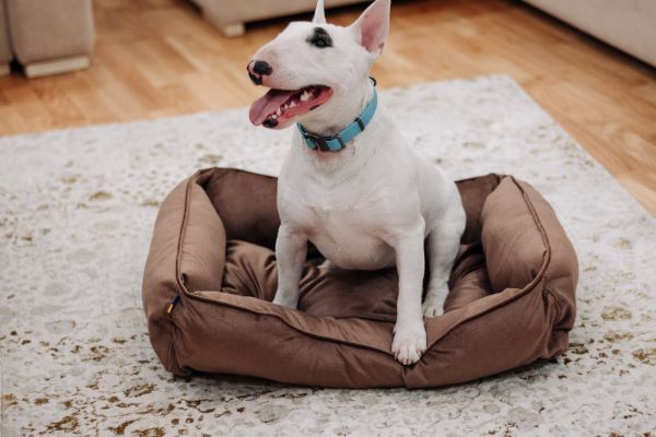Лежак для котів та собак коричневий